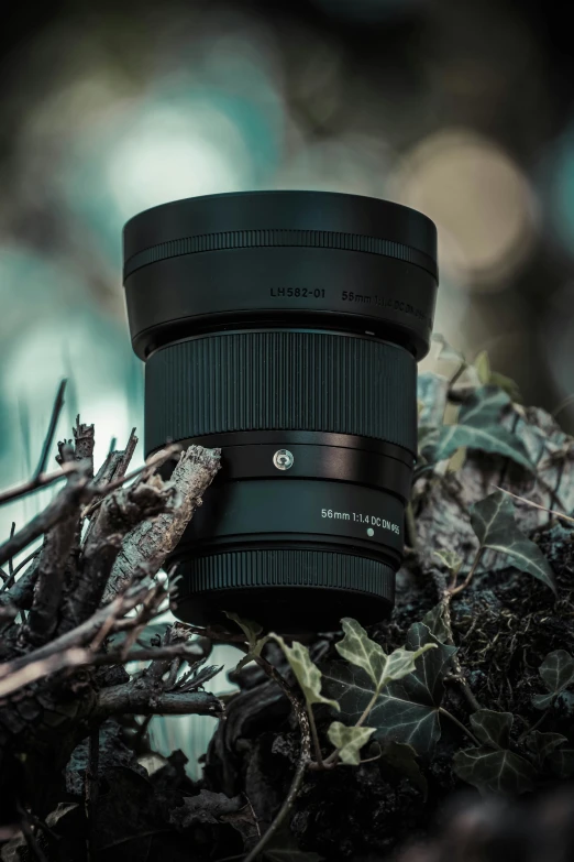 an image of a camera lens on some foliage