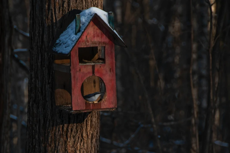 a small birdhouse sits up against a tree in the snow