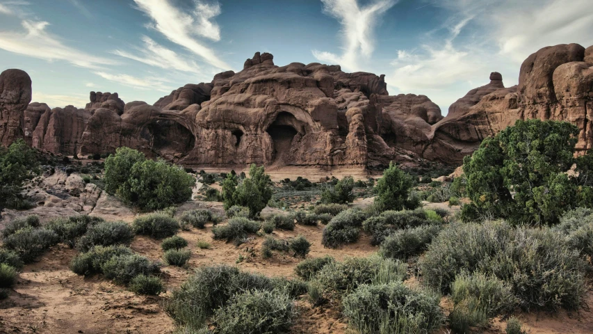 there is a desert with many rocks and trees