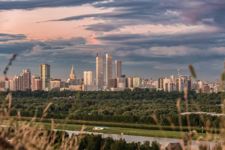 a city skyline is seen through the grass