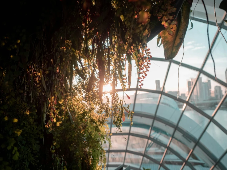 the inside of a building with lots of plants and a bridge