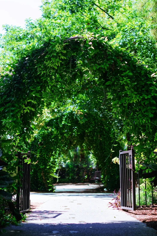 an open gate is opening into a green garden