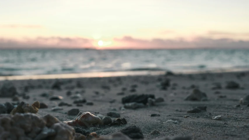 a blurry po of a beach in the distance