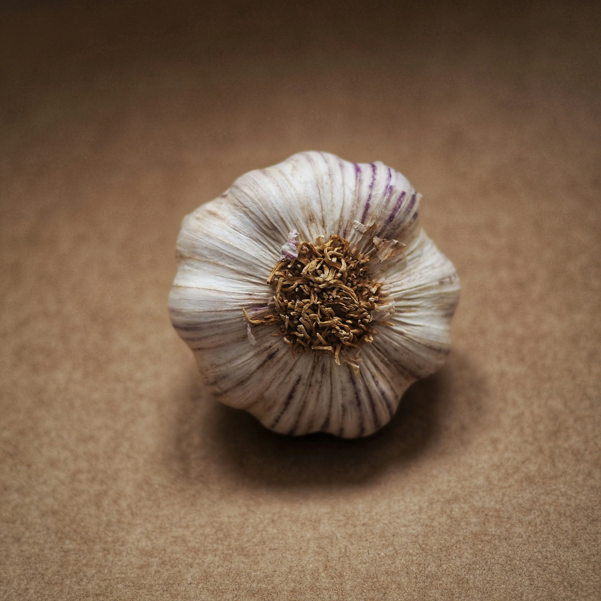 there is a garlic plant sitting on a table