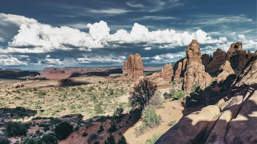 desert with rocks and clouds and plants