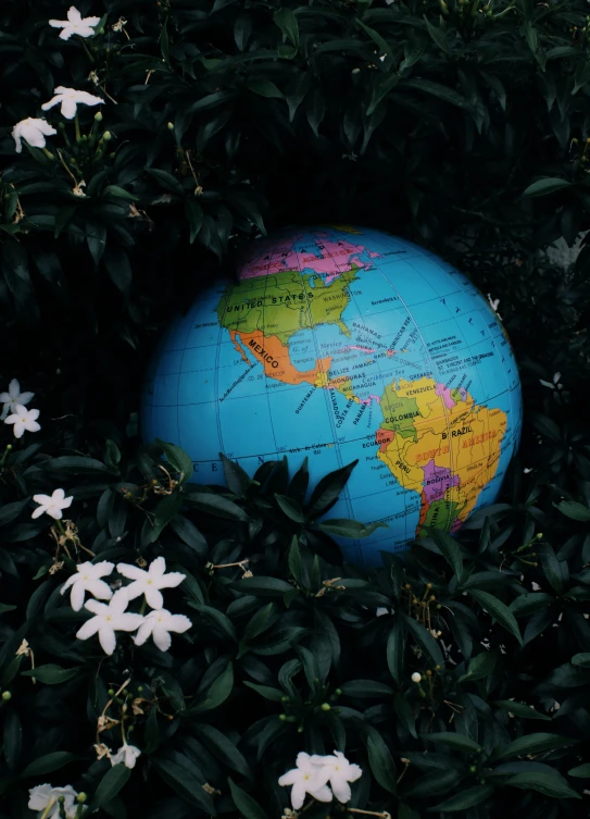 a globe is sitting in a bush with leaves