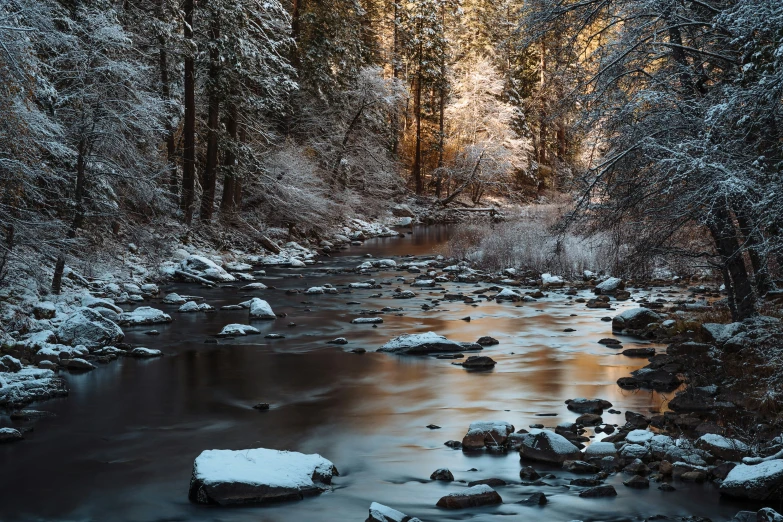 an image of a snow covered forest landscape