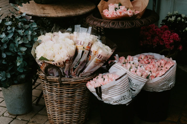 several baskets with flowers sit in front of some potted plants