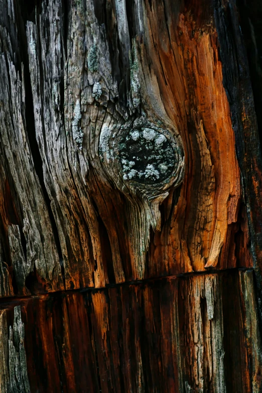 this is wood with a strange face made out of it