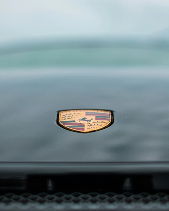 an emblem on the hood of a silver car