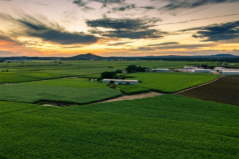 the large green pasture is under a cloudy sky