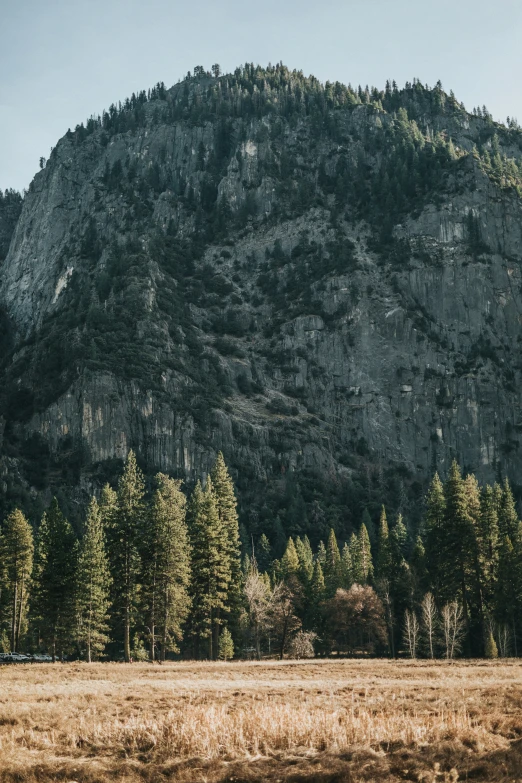 a large mountain that has many trees and a horse grazing on it