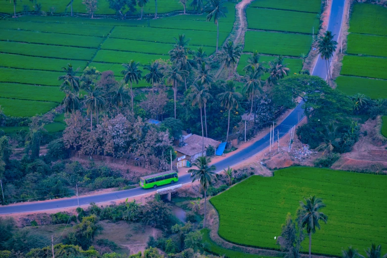 a green field with a road in the foreground