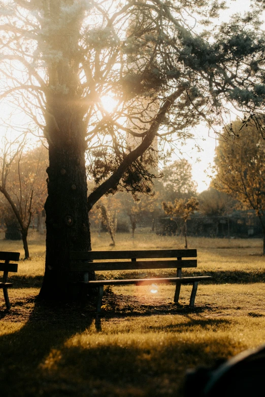 two benches at sunset in a park area