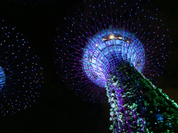 a closeup of the top of some buildings at night