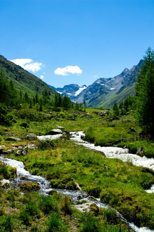 stream in a valley, with mountains in the background