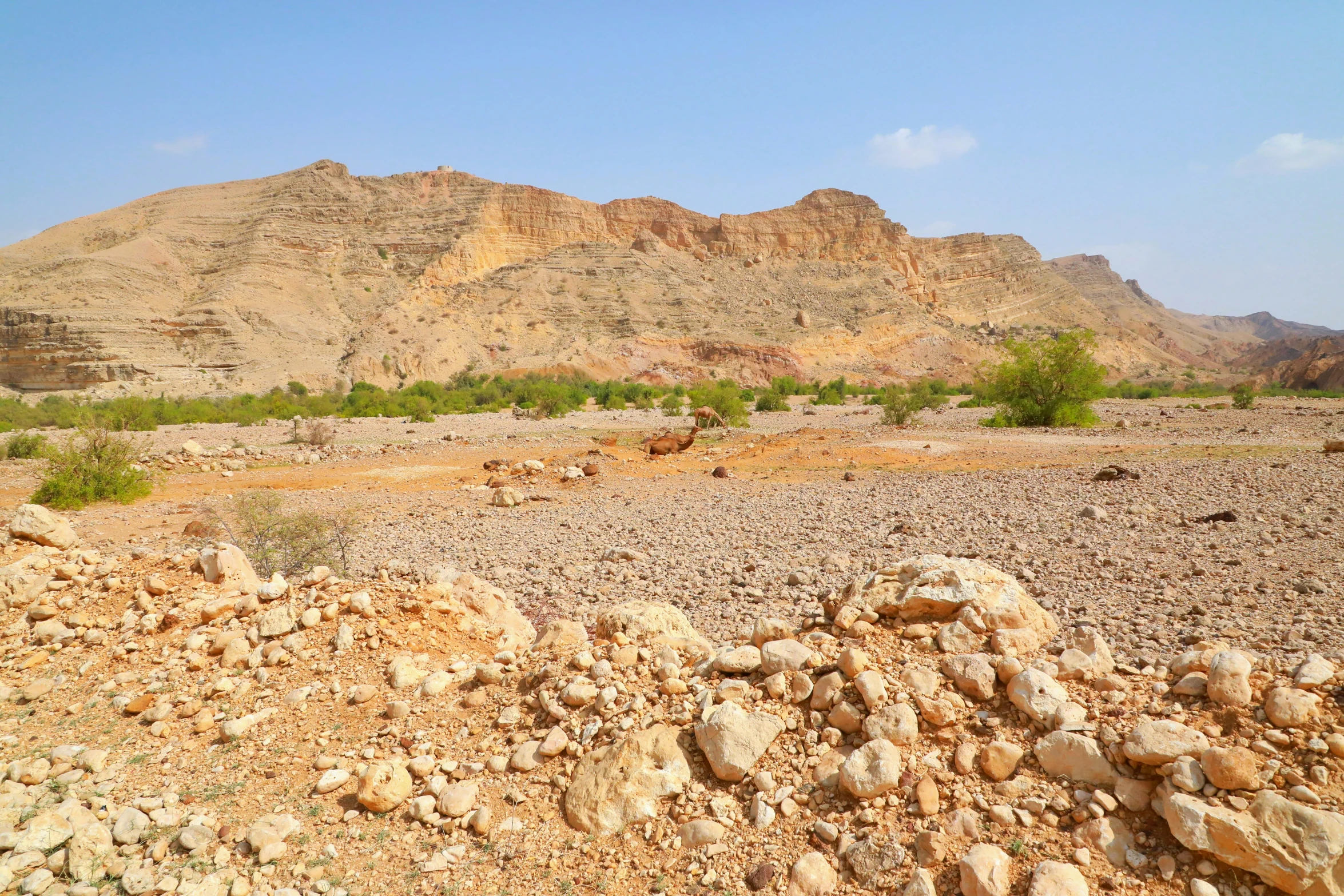 a large group of rocks on a gravel field