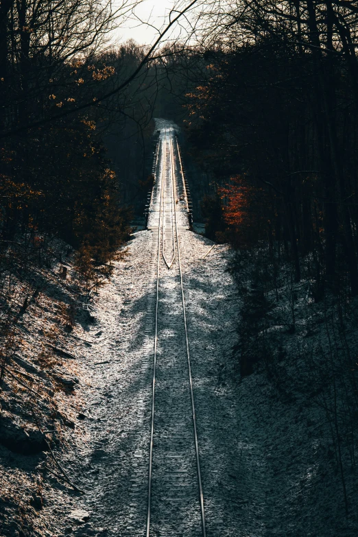 a lone train tracks between some trees with leaves and the ground in the foreground