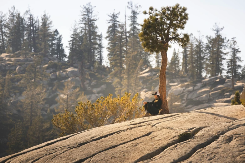 a man sitting on the top of a hill next to a tree