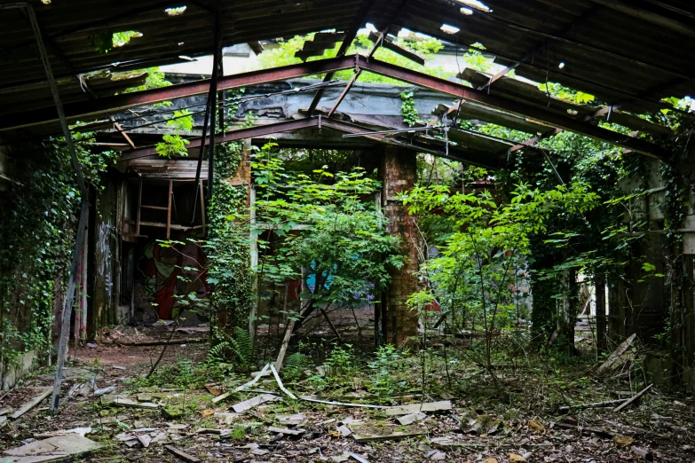 an overgrown room in the woods under a roof