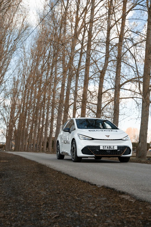 the car is parked by itself along a row of trees