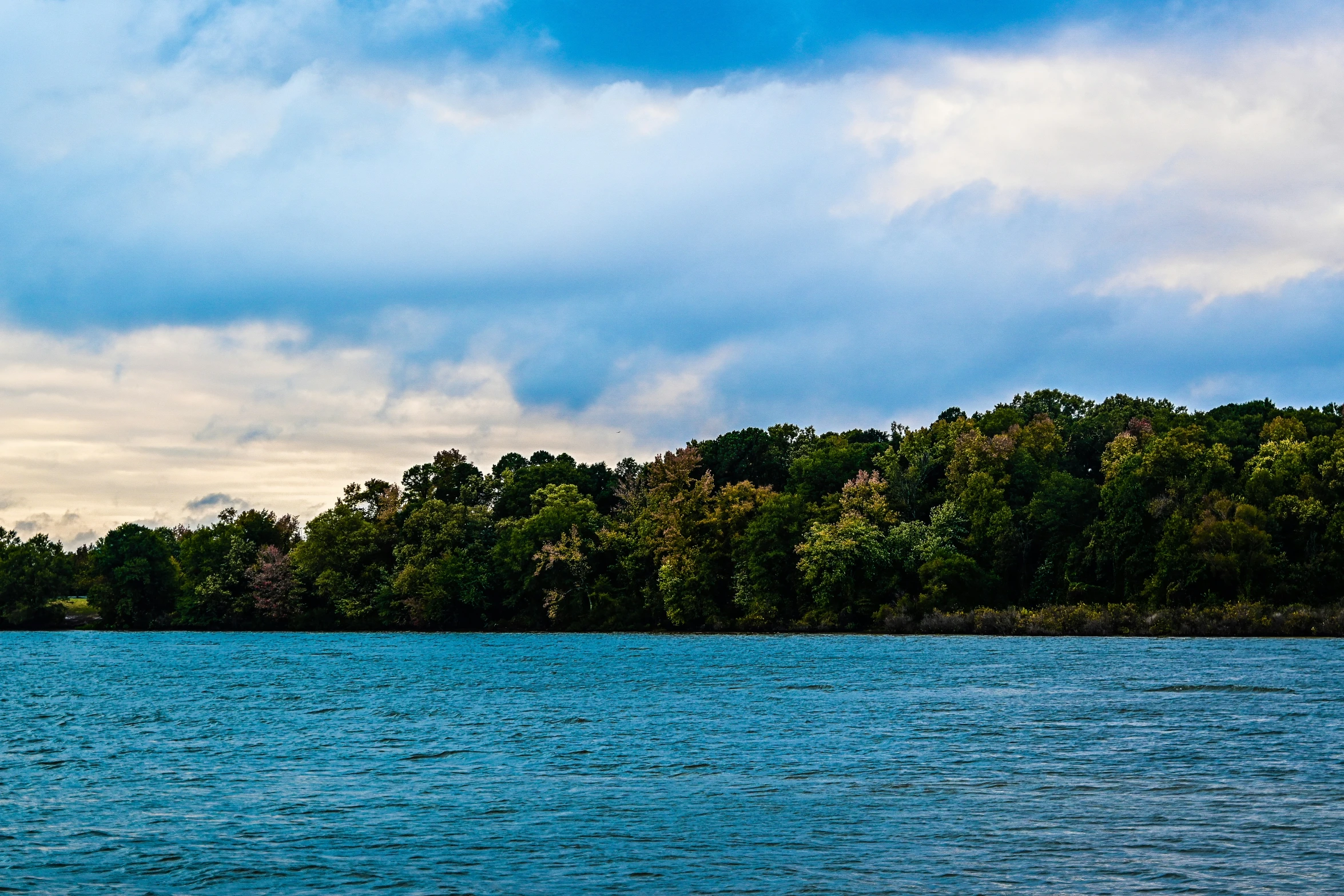 two people are out on the water on a raft in front of a forest