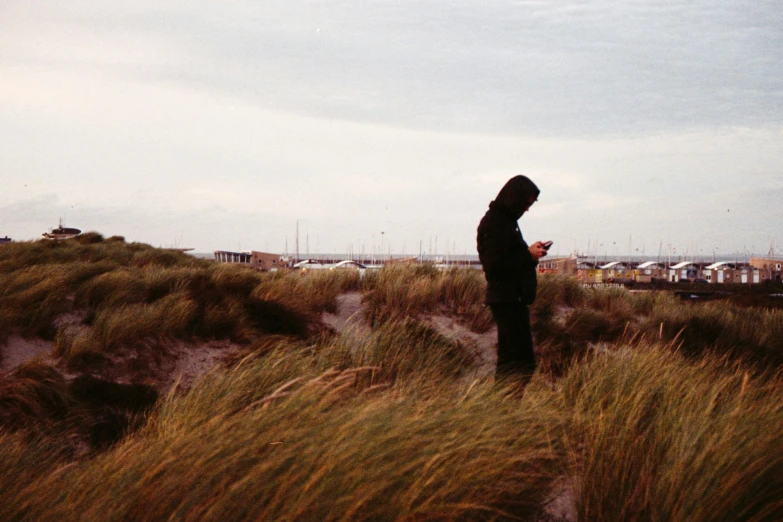 a person in a field on a cellphone