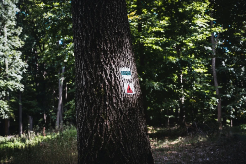 a white and red stop sign sticking out of the side of a tree