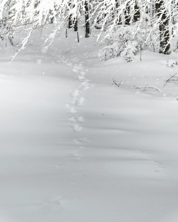 this is the tracks on a snow - covered mountain slope