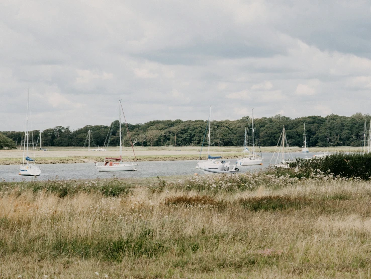 a number of boats on a body of water