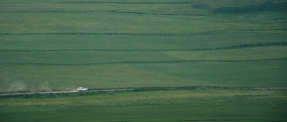 sheep in an open field near a farm in the distance