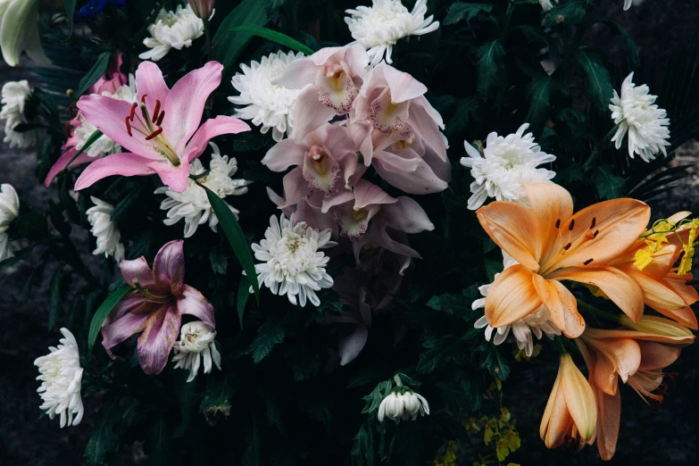 this is an image of a group of flowers