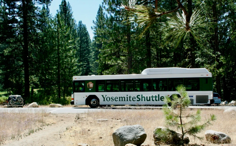 a white bus driving down a road next to a forest