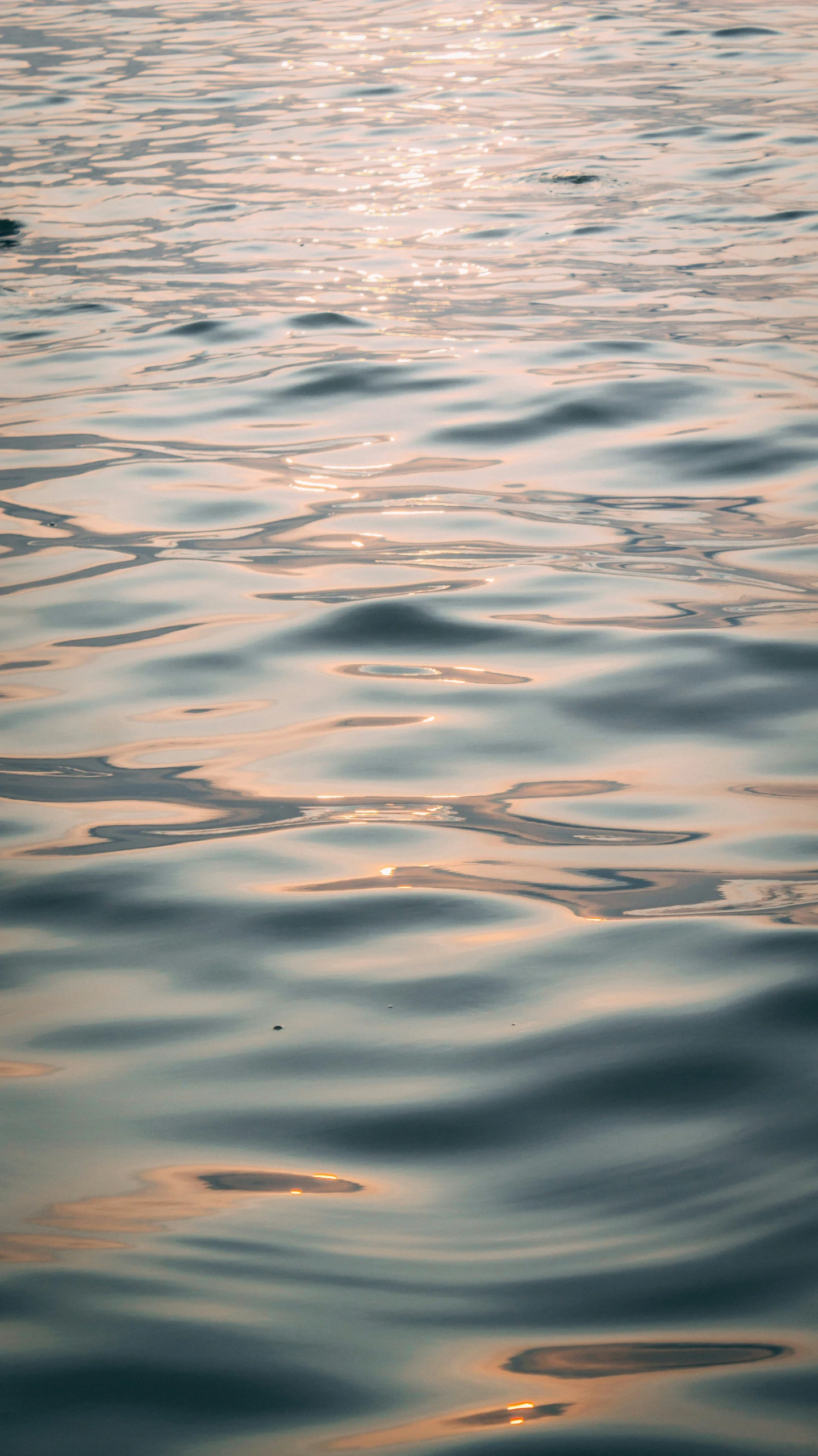 waves on the water are reflecting the sunlight