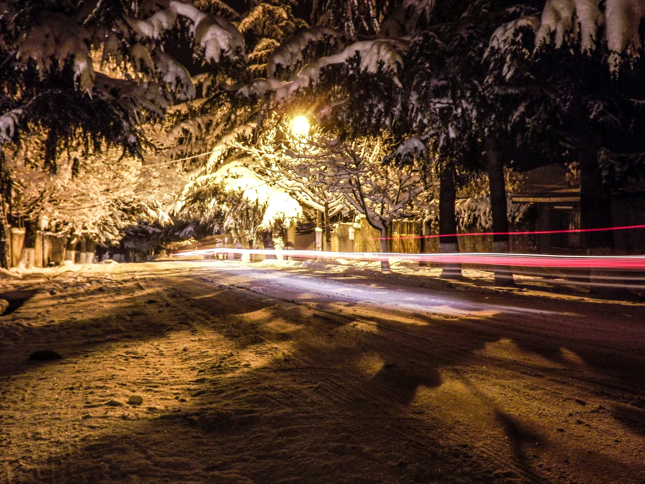 a snowy road next to a row of trees