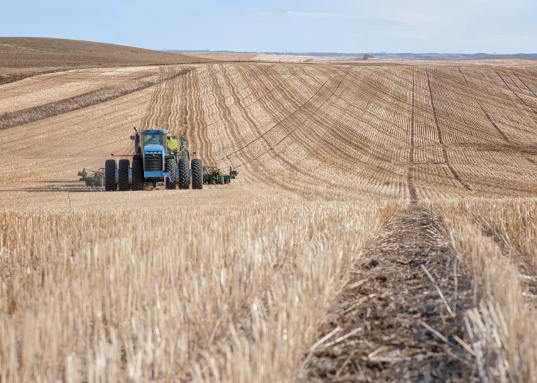 the blue tractor is driving in the yellow wheat field