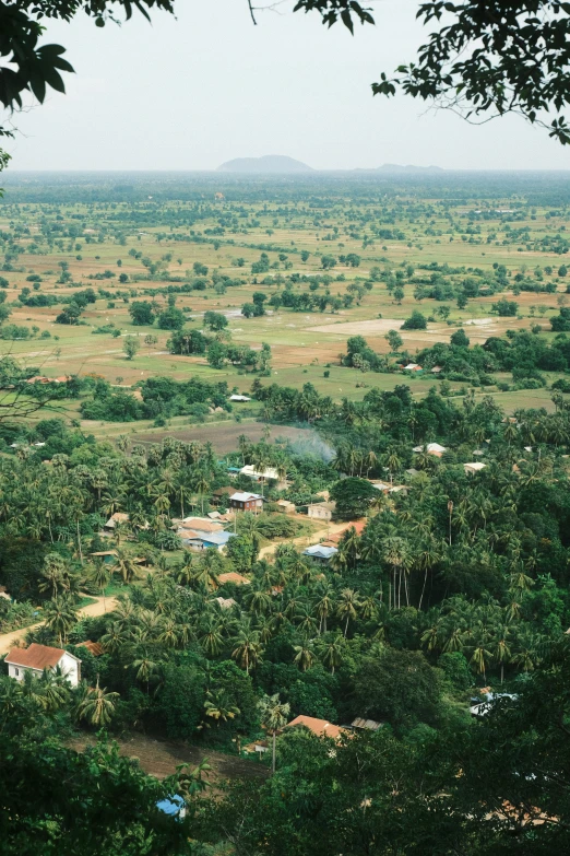 a city surrounded by trees, with a vast view of the land