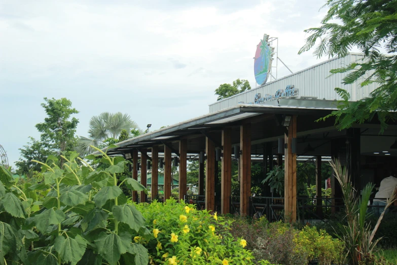 the covered area is surrounded by tall grass and plants