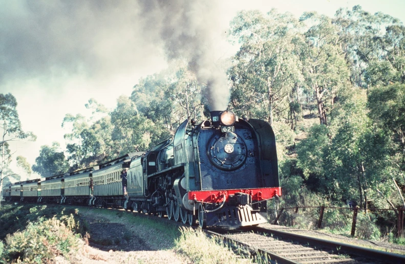 an old train moving on tracks in a forest