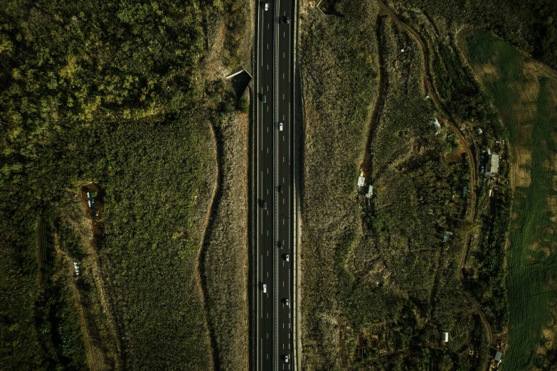 a long and winding road going through the forest