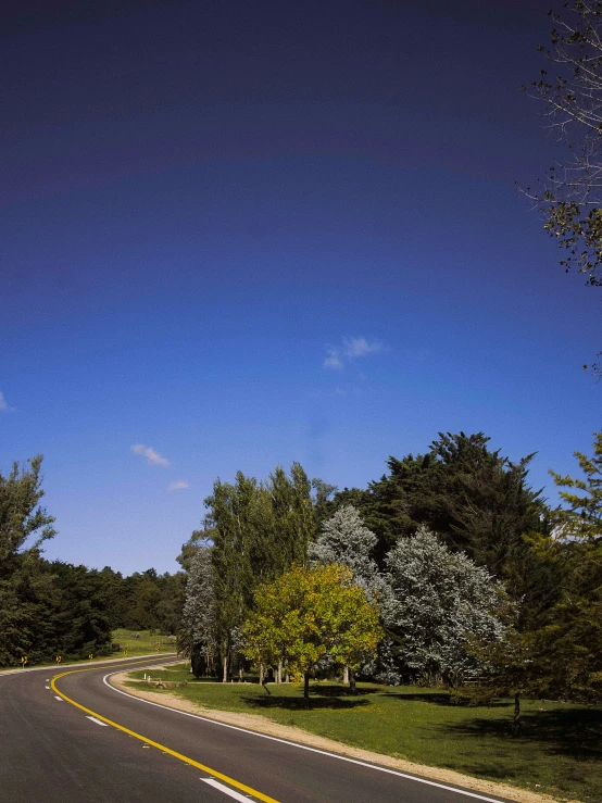 an empty highway surrounded by trees and green grass