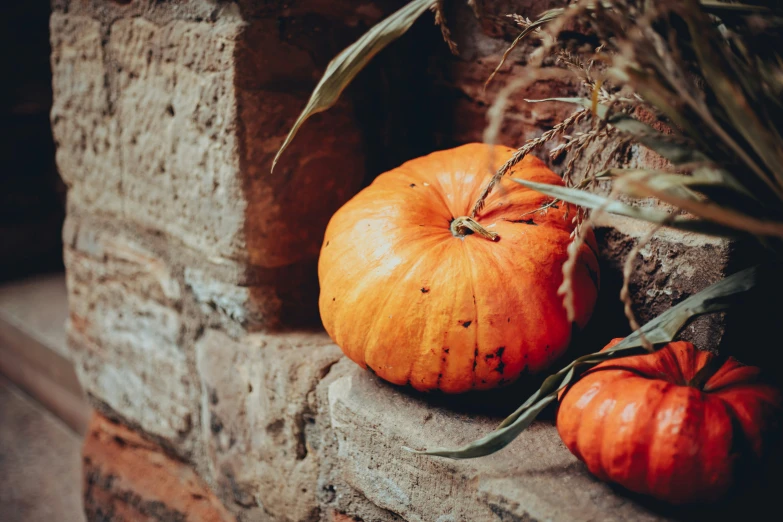 some pumpkins sit on a stone ledge outside