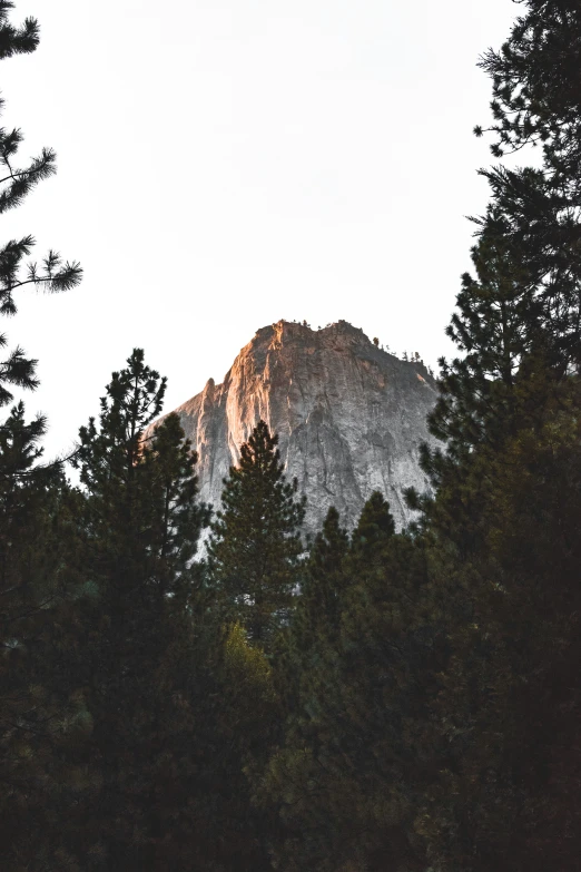 the view of a tall, snowy peak from a forest