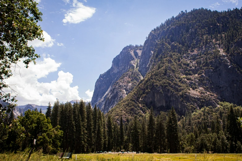 a lush green field with tall mountains and a forest in the background