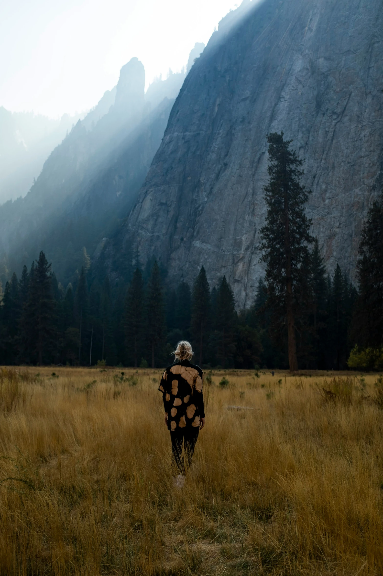 person wearing a large blanket walking through a field