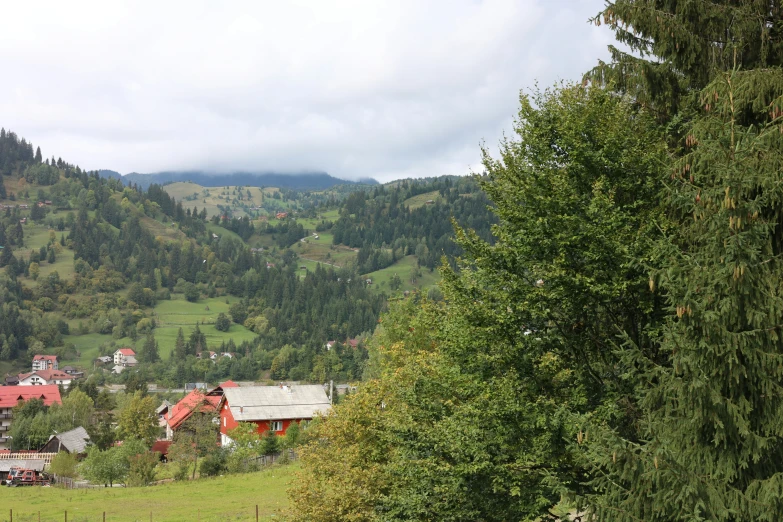 looking down on a small village nestled near the forest