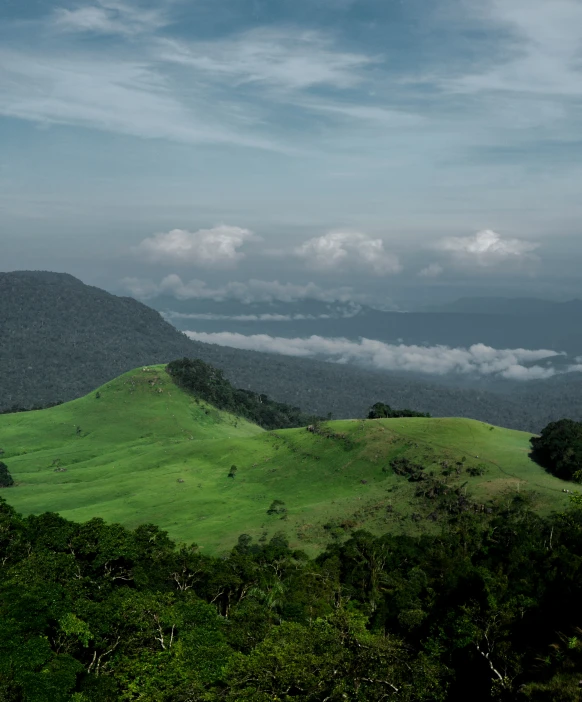 a view of a lush green hillside covered in clouds