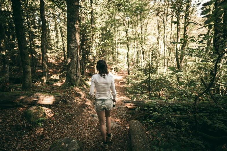 a person walking on a trail through a forest