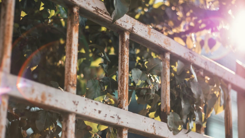 a metal fence sitting next to a bunch of green plants