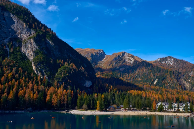 the mountains have many trees in their patches